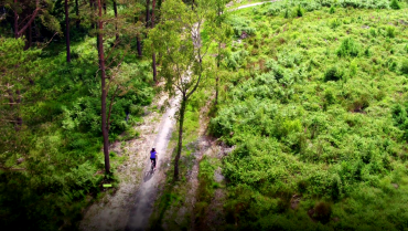 a drone image of a woman riding her bike through the woods