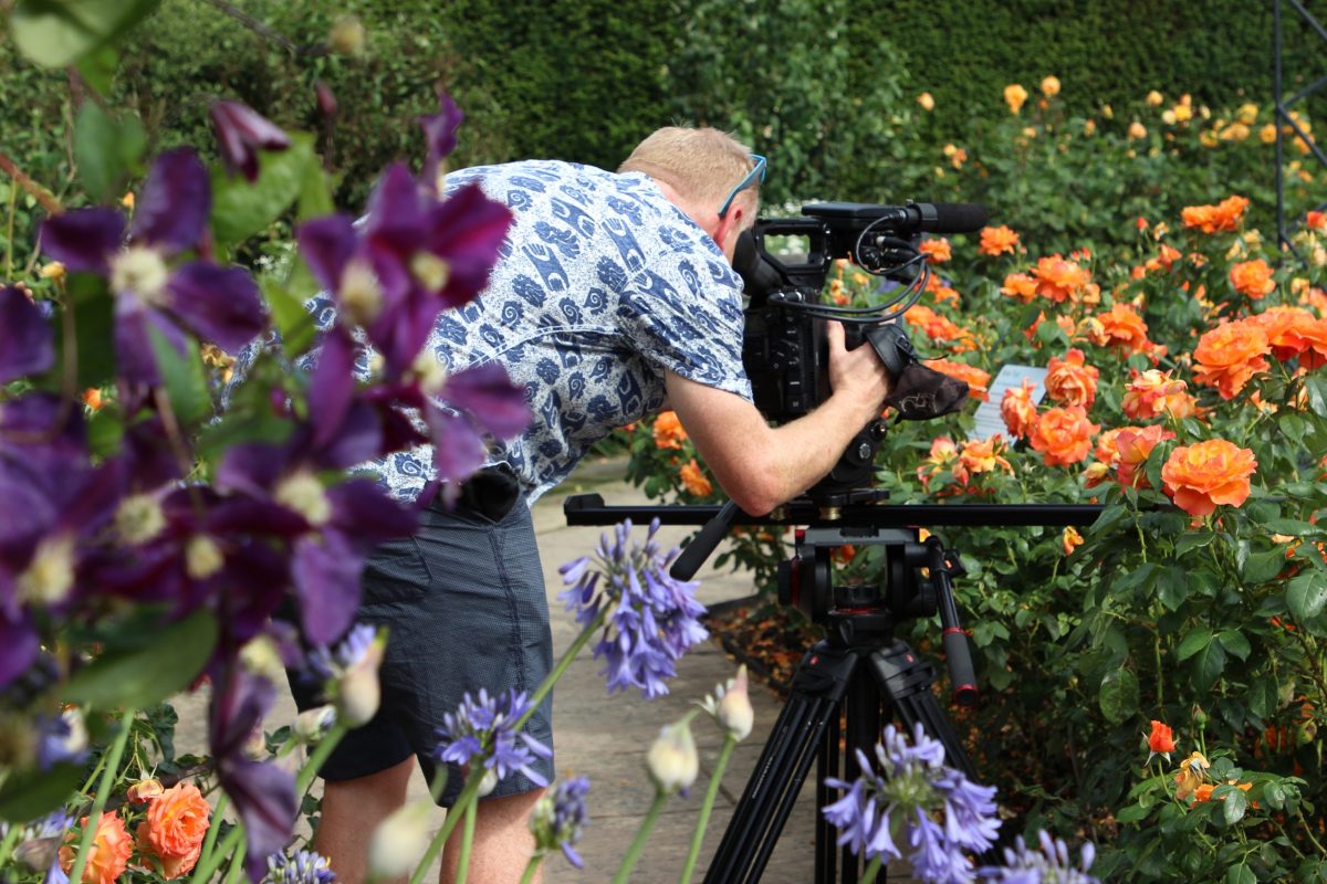 Man in and around flowers holding a camera