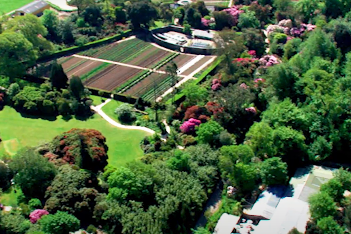 Screenshot 2025-04-01 115618