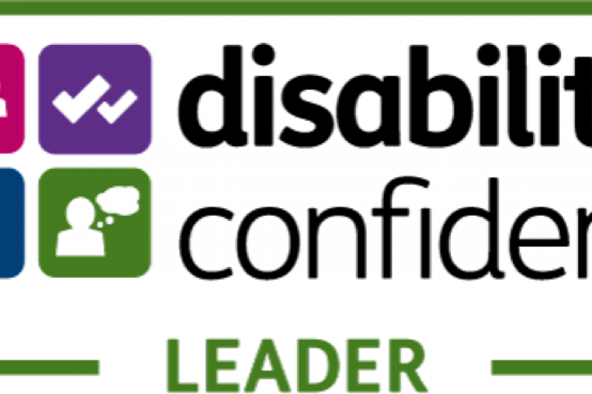 The Disability Confident Leader Logo
