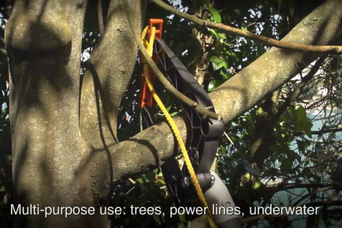 a tree with equipment attached on a branch
